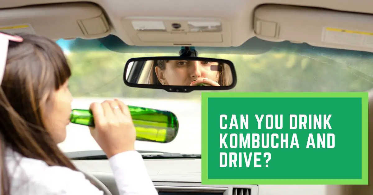 Read This Before Drink Kombucha And Drive Talk Leisure