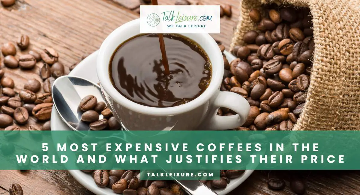 Most Expensive Coffees In The World And What Justifies Their Price