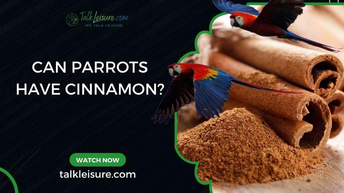 Can parrots have cinnamon?