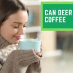 Can Deer Smell Coffee