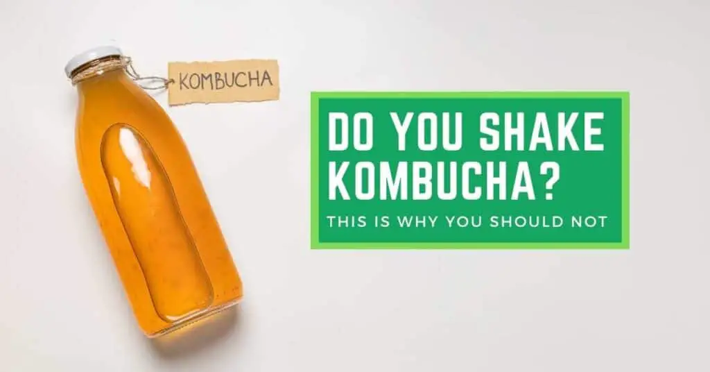 Do You shake Kombucha. This is Why You Should Not