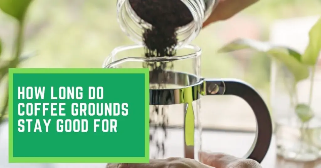 How Long do Coffee Grounds Stay Good For