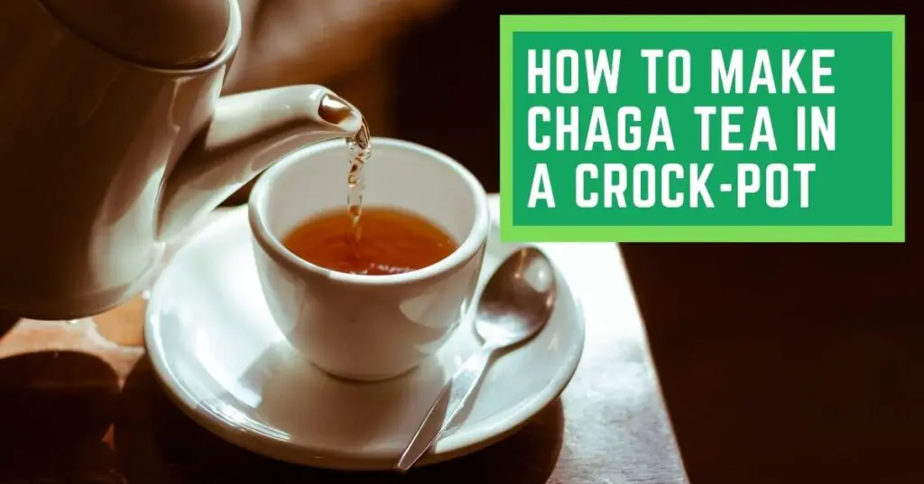 How to make Chaga Tea in a Crock-Pot