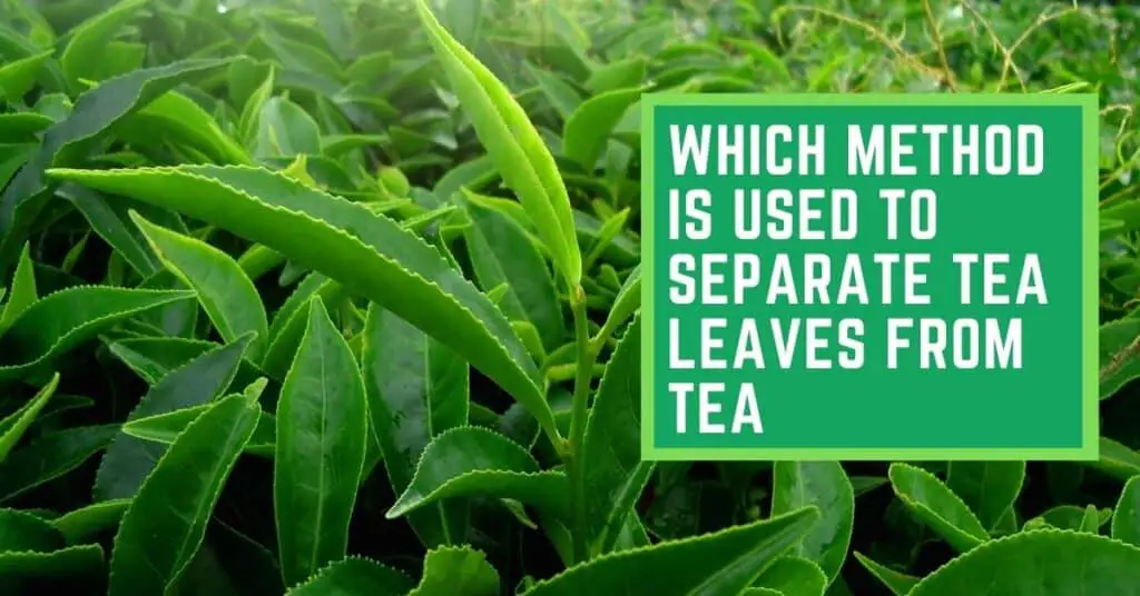 Which method is used to Separate Tea Leaves from Tea