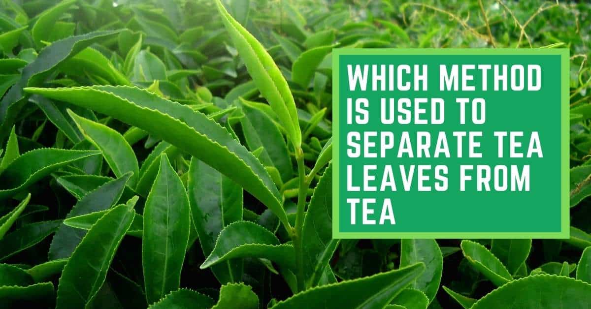 Which method is used to Separate Tea Leaves from Tea