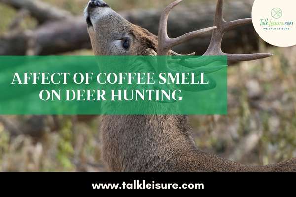 Affect of Coffee Smell on Deer Hunting