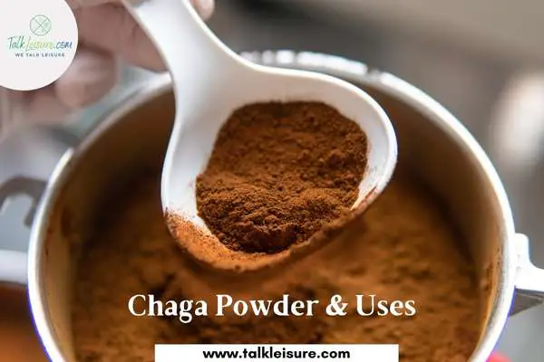 Chaga Powder & Uses