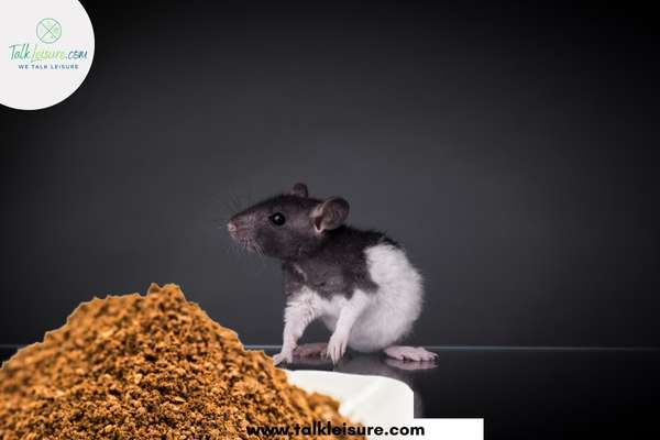 Do rats attract the Smell of Ground Coffee?