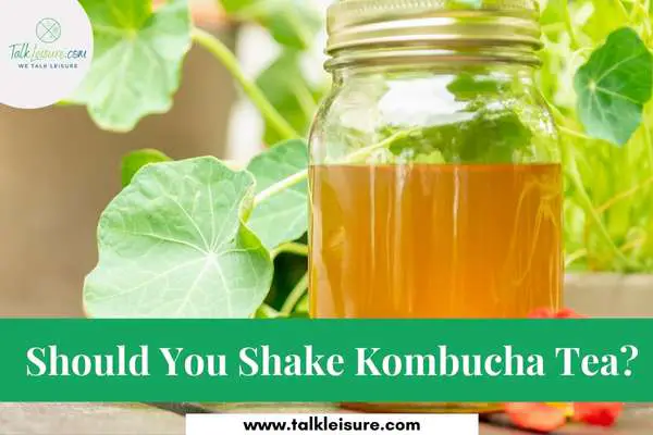 Should You Shake Kombucha Tea?