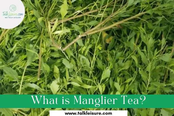 What is Manglier Tea? A Historical Natural Cure