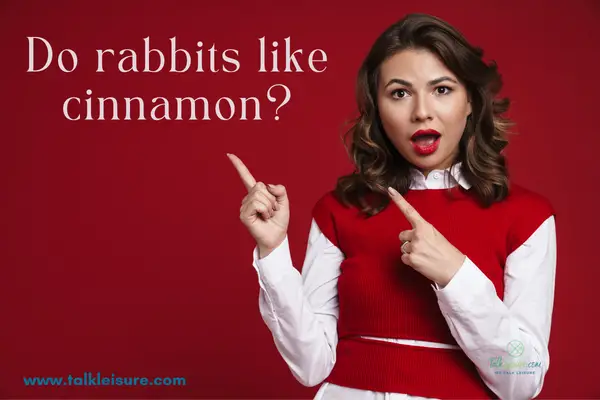 Do rabbits like cinnamon?