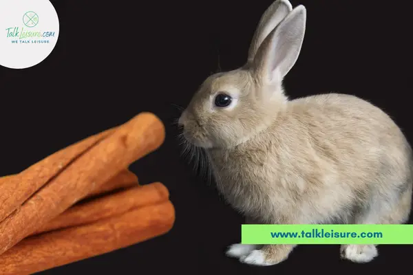 Do rabbits like cinnamon?