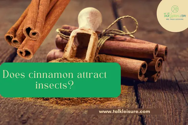 Does cinnamon attract insects?