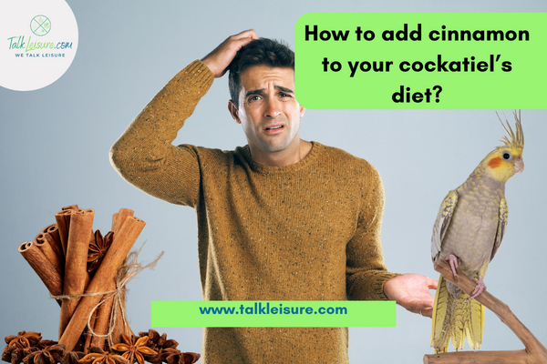 How to add cinnamon to your cockatiel’s diet?