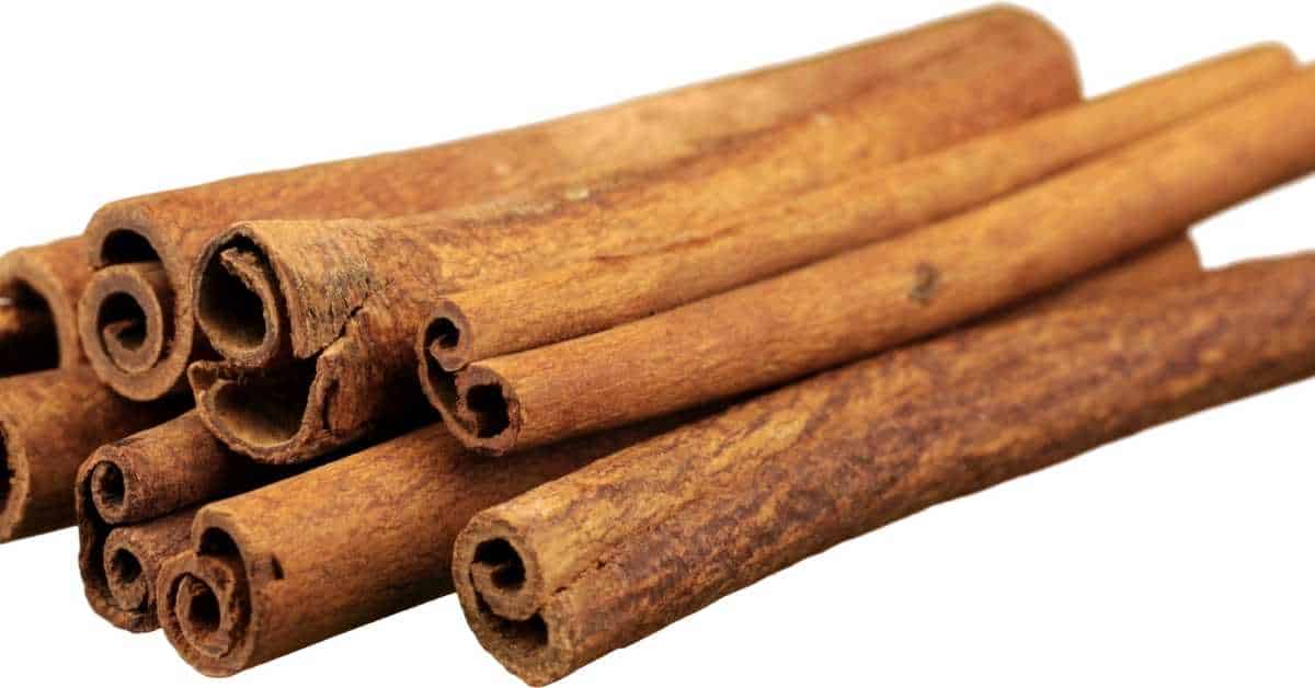 Can You Grind Cinnamon Sticks In A Food Processor? Talk Leisure