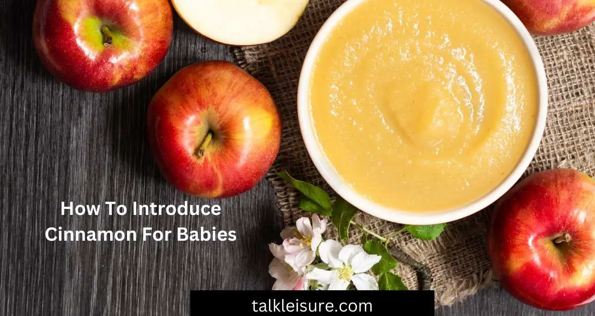 Can Babies Have Cinnamon Applesauce? (Cinnamon For Babies) Talk Leisure
