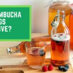 Are Kombucha Tea Bags Effective