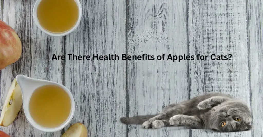 Are There Health Benefits of Apples for Cats