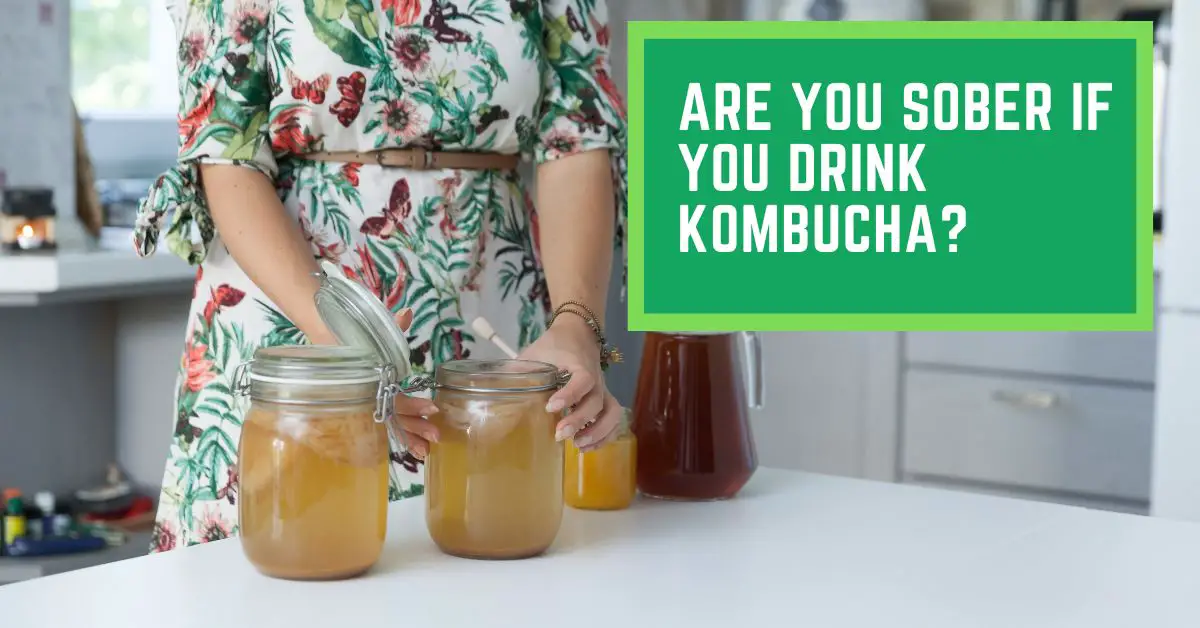 Are You Sober if You Drink Kombucha? Read This Before Drinking Too Much