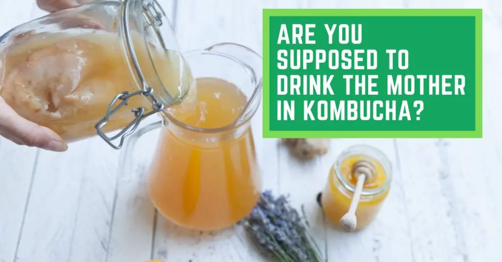 Are You Supposed to Drink The Mother in Kombucha
