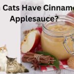 Can Cats Have Cinnamon Applesauce