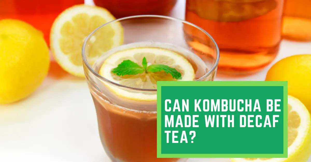 Can Kombucha be Made With Decaf Tea? Things you Need to Know About