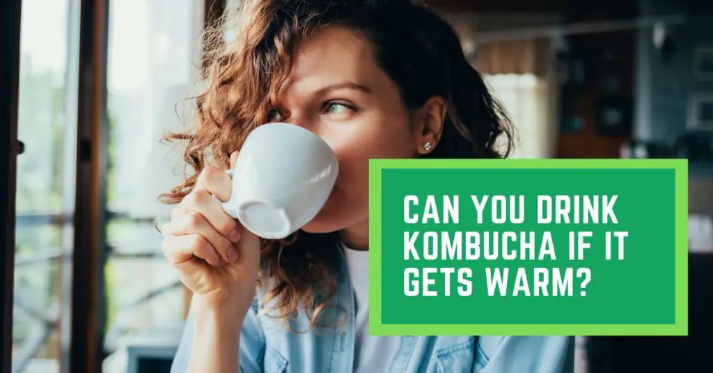 Can You Drink Kombucha if it Gets Warm