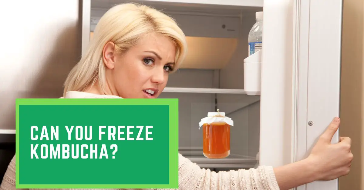 Can You Freeze Kombucha?