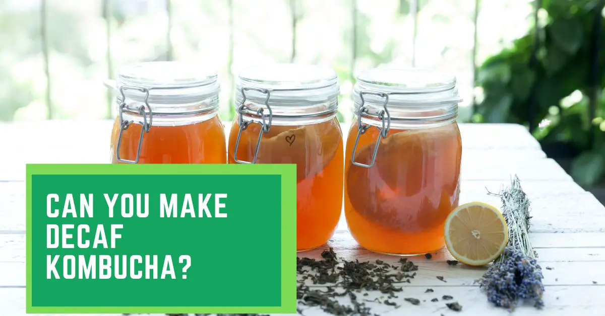 Can You Make Decaf Kombucha? Things You Need to Know About Decaf