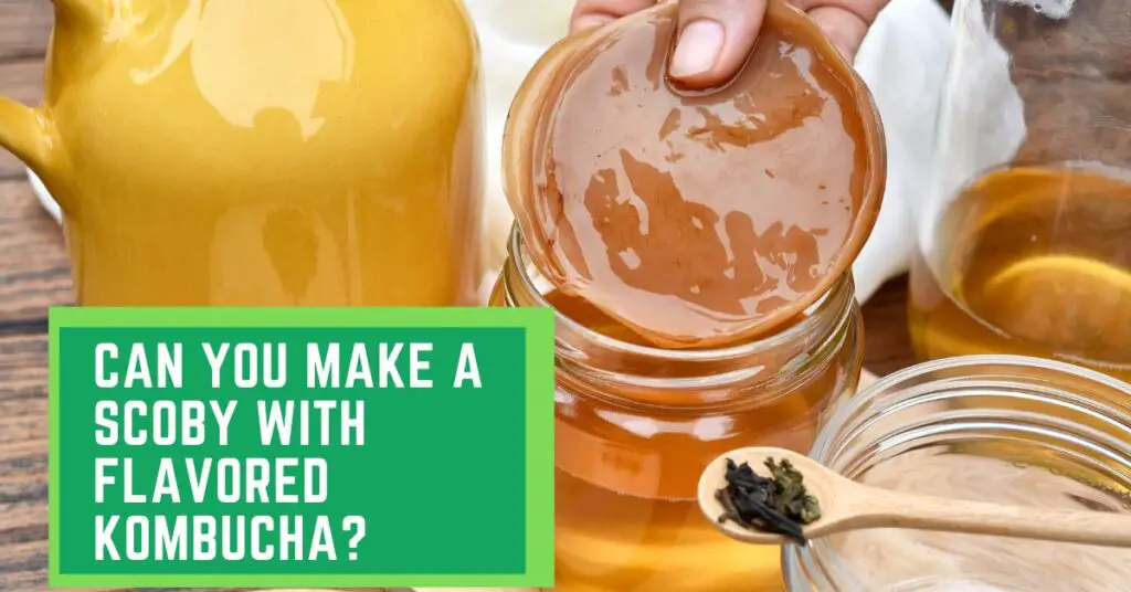 Can You Make a Scoby With Flavored Kombucha?