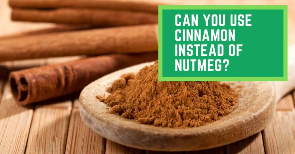 Can You Use Cinnamon Instead of Nutmeg?