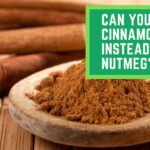 Can You Use Cinnamon Instead of Nutmeg?