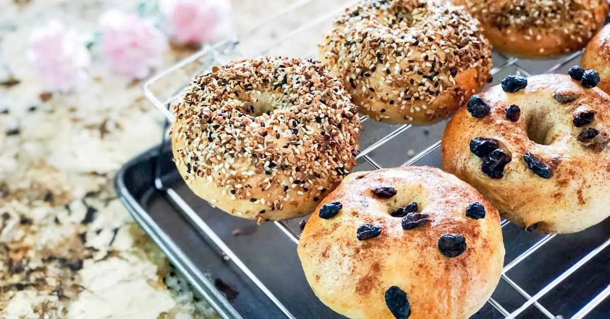 Can dogs eat cinnamon raisin bagels? Talk Leisure