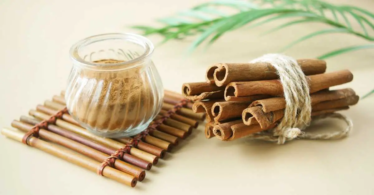 Can you burn a cinnamon stick? Talk Leisure
