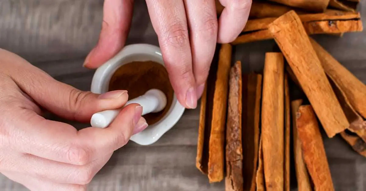 Can you grind up cinnamon sticks? Talk Leisure
