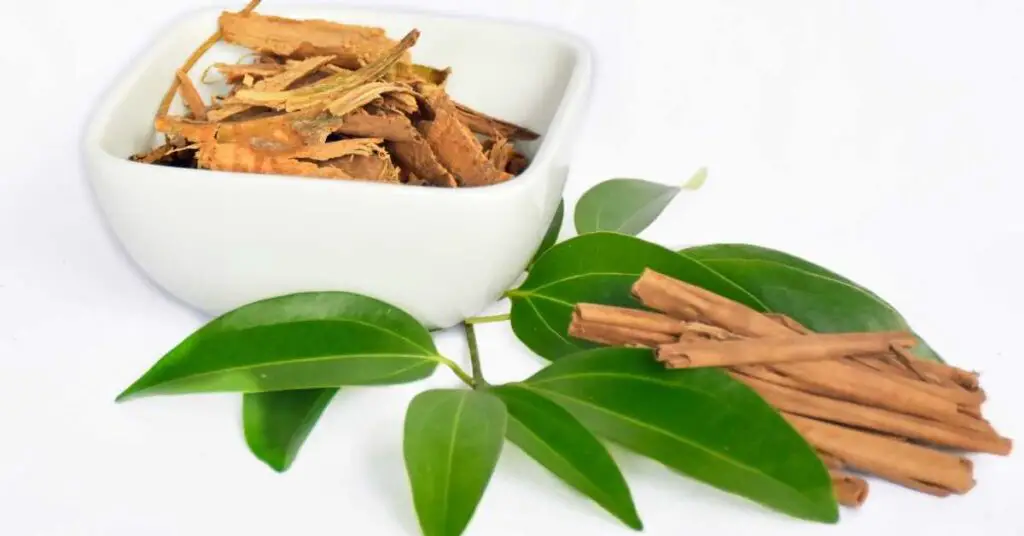 Can you use cinnamon leaves as incense