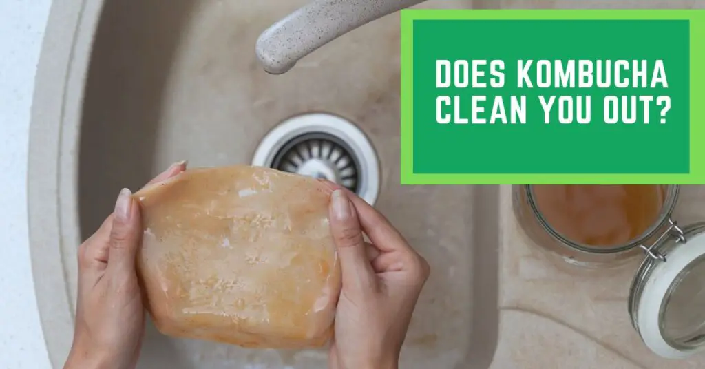 Does Kombucha Clean You Out?