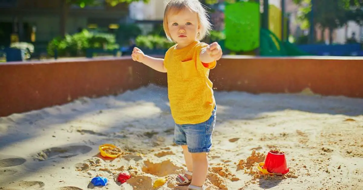 How much cinnamon in the sandbox? Talk Leisure