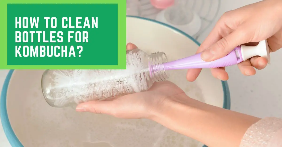 How to Clean Bottles For Kombucha? Things You Need to Know About