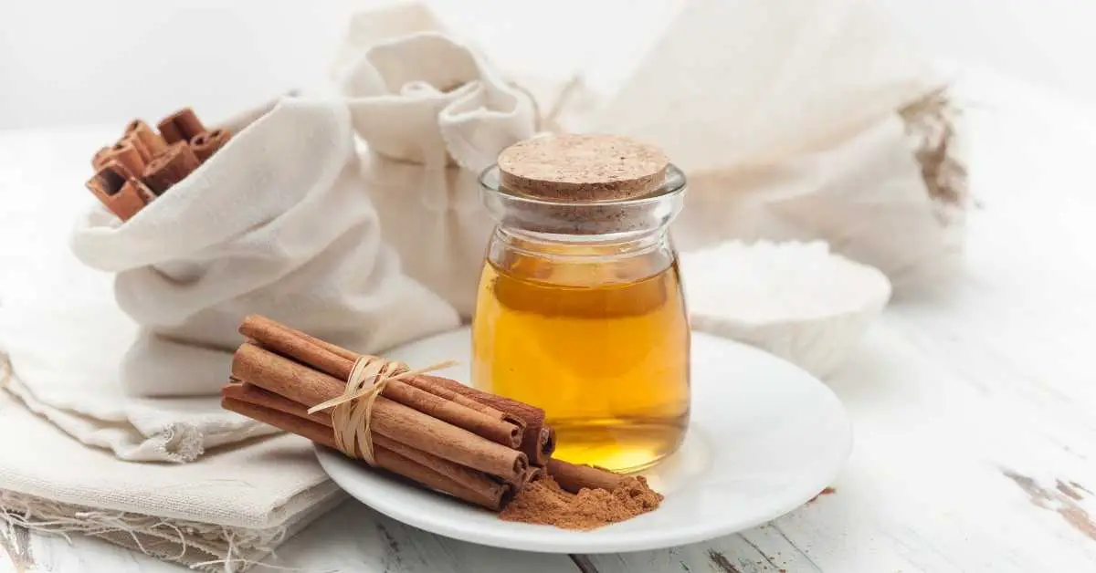 How To Make Liquid Cinnamon Extract Talk Leisure