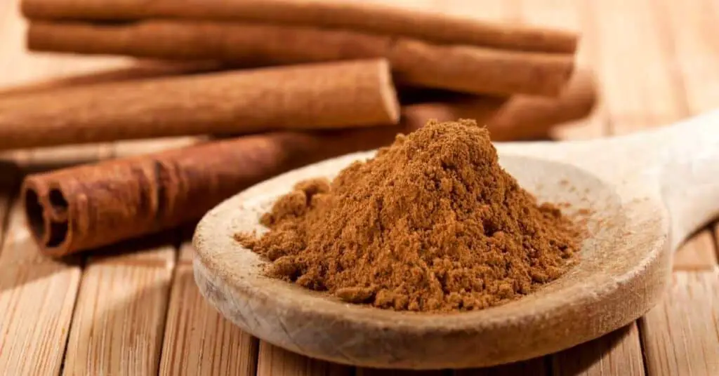Is cinnamon permitted during the Daniel fast