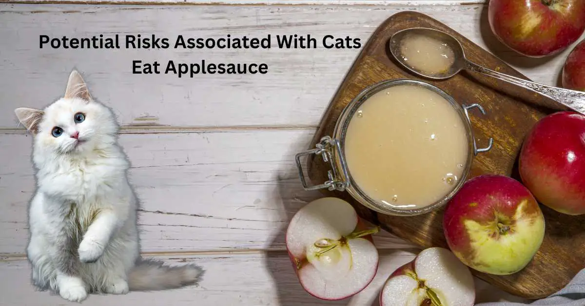 Can Cats Have Cinnamon Applesauce? (Cats eat applesauce) Talk Leisure