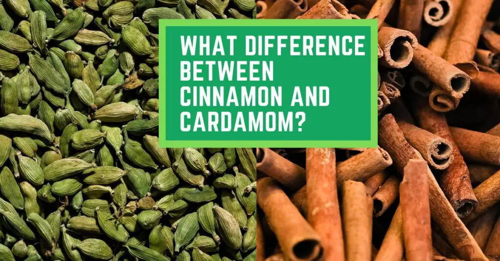What Difference Between Cinnamon And Cardamom?