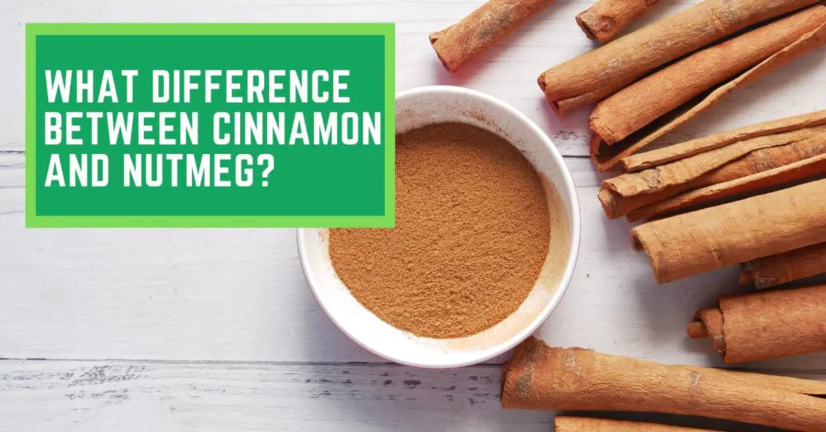 What Difference Between Cinnamon And Nutmeg? Read This to Find Out How