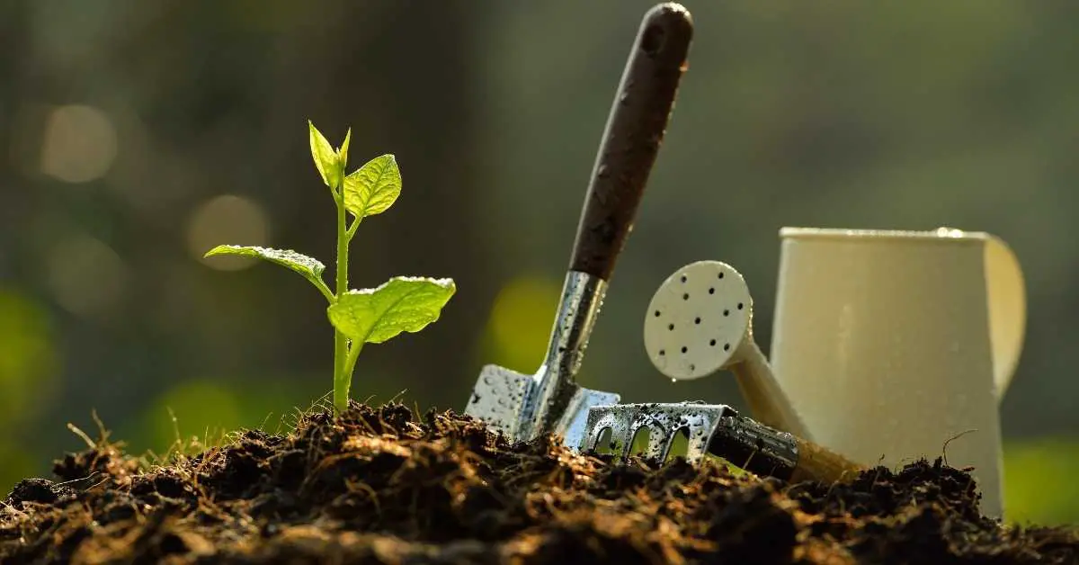 What Does Cinnamon Do For Plants? (Benefits Of Using Cinnamon In