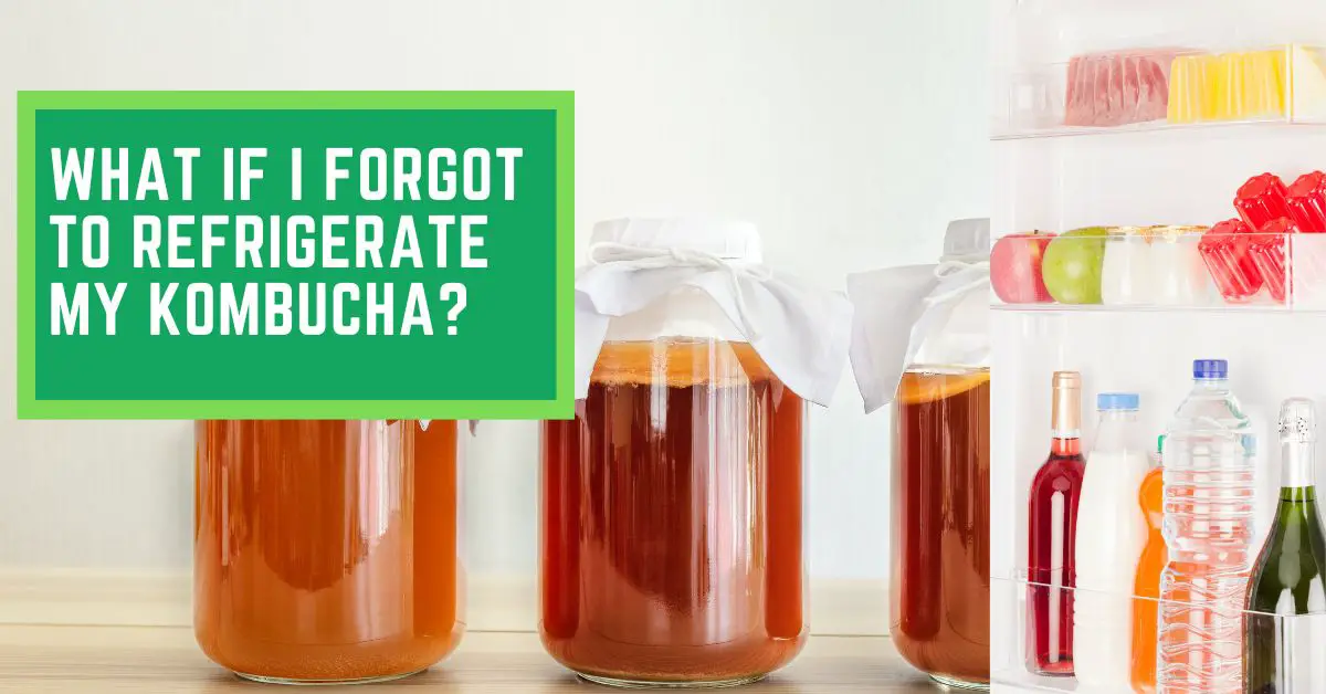 what-if-i-forgot-to-refrigerate-my-kombucha-things-you-need-to-know