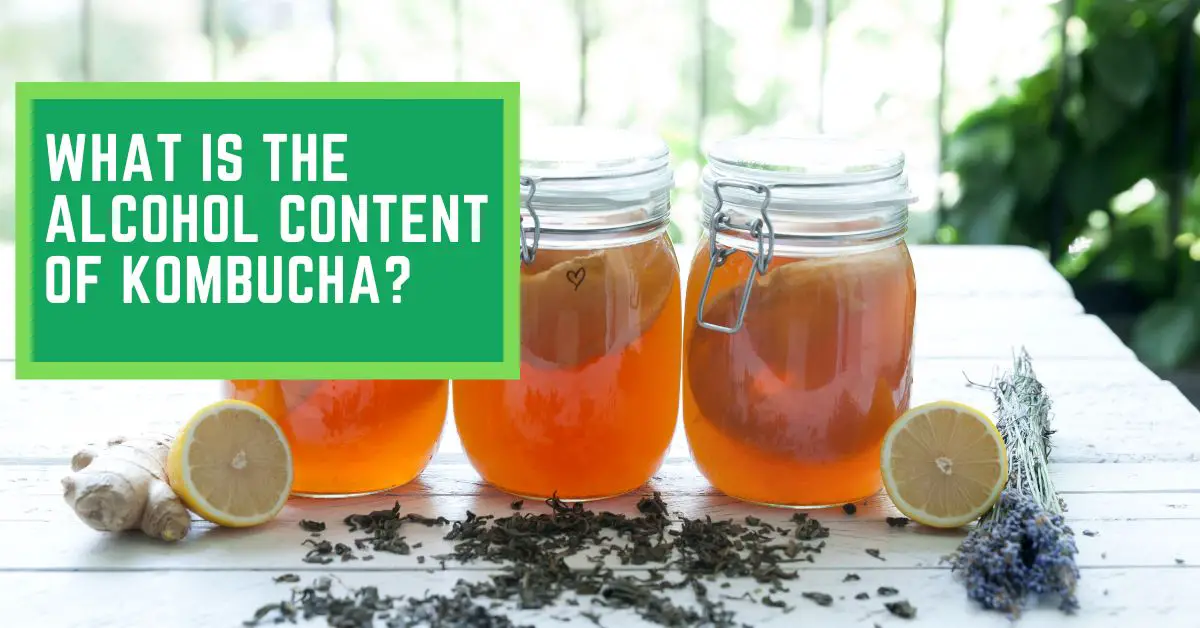 What is The Alcohol Content of Kombucha? Read This to Find Out The