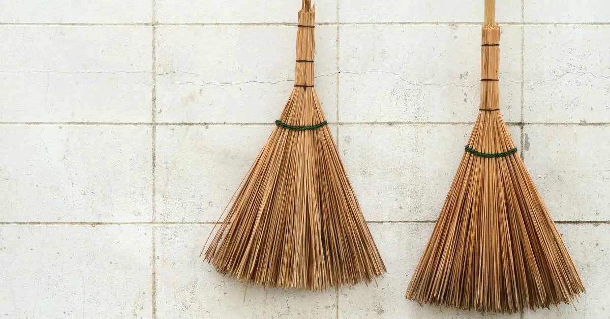 What To Do With Cinnamon Broom? Talk Leisure