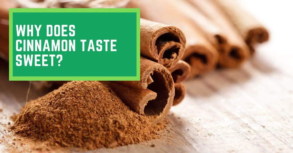 Why Does Cinnamon Taste Sweet? Things You Need to Know About The Sweet
