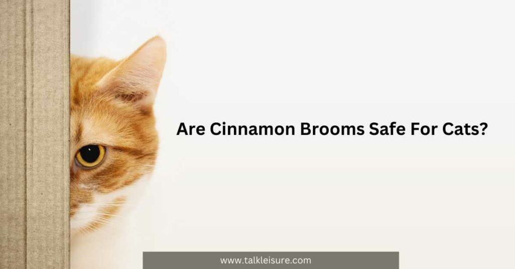 Are Cinnamon Brooms Safe For Cats?